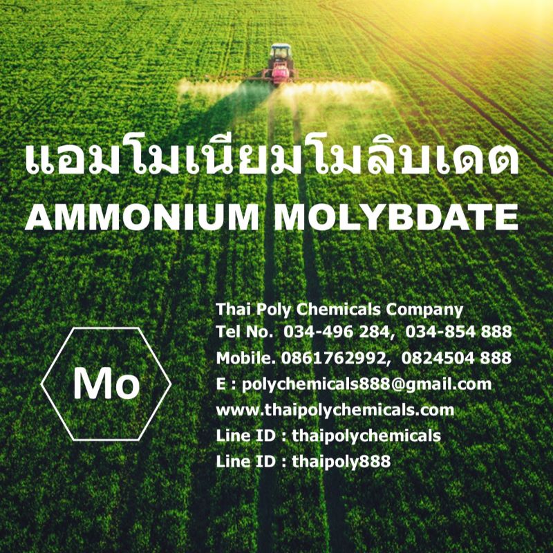 แอมโมเนียมโมลิบเดต, ผงจุลธาตุโมลิบดินัม, แอมโมเนียมโมลิบเดท, Ammonium Molybdate, Molybdenum, Micronutrients